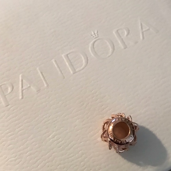 Pandora rose Intertwining Radiance charm. - Picture 2 of 3